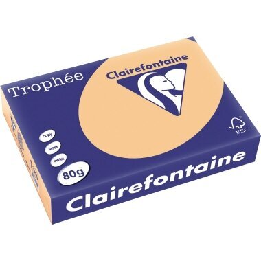 Farbiges Kopierpapier 120 g/m² – DIN A4