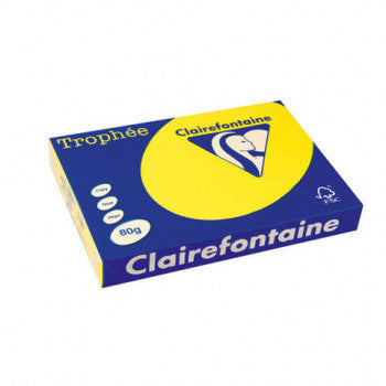 Farbiges Kopierpapier 80 g/m² – DIN A4 & DIN A3