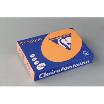 Farbige Kopierkarton 160 g/m² – DIN A4 & DIN A3